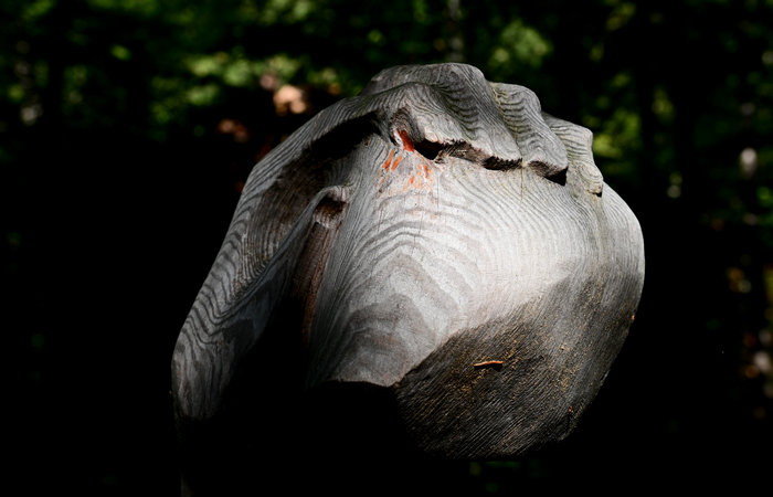 SelvArt, Sentiero Arte Natura a Mezzaselva di Roana, monte Erio