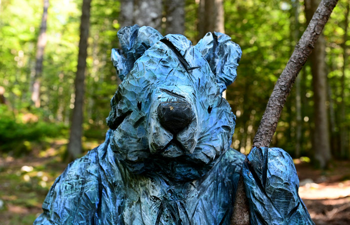 SelvArt, Sentiero Arte Natura a Mezzaselva di Roana, monte Erio