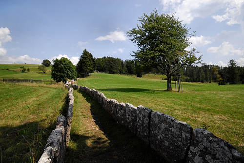 Excalibur, Valle dei Ciliegi, Tonezza del Cimone