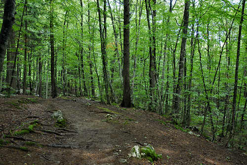 Excalibur, Valle dei Ciliegi, Tonezza del Cimone