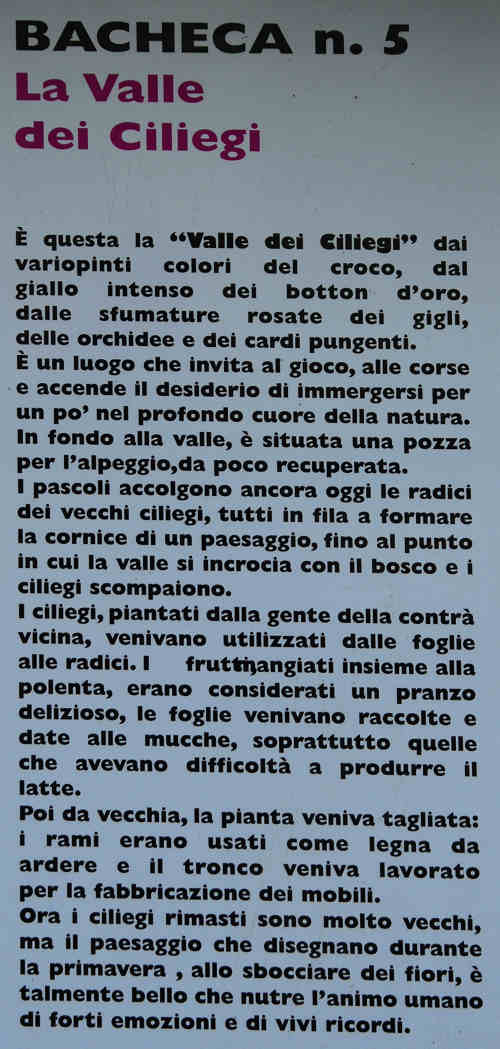 Excalibur, Valle dei Ciliegi, Tonezza del Cimone