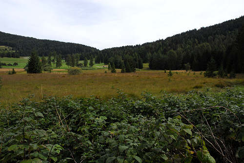 Folgaria - biotopo Echen