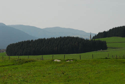 Asiago