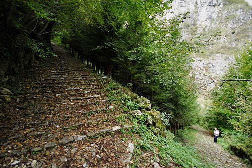 Calà del Sasso - Valstagna, Sasso di Asiago - Valsugana, Val Frenzela, Altopiano