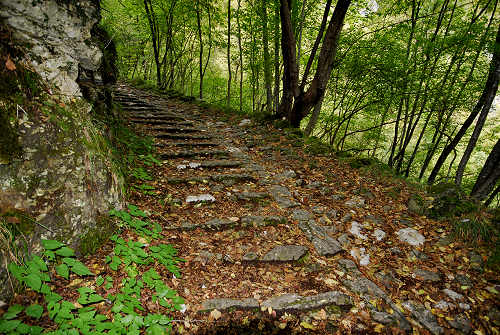 Calà del Sasso - Valstagna, Sasso di Asiago - Valsugana, Val Frenzela, Altopiano