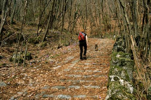 Calà del Sasso - Valstagna