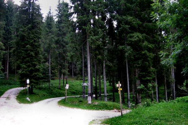 pista ciclabile del trenino