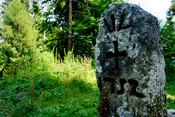 mtb Enego Valbrutta Marcesina Lisser