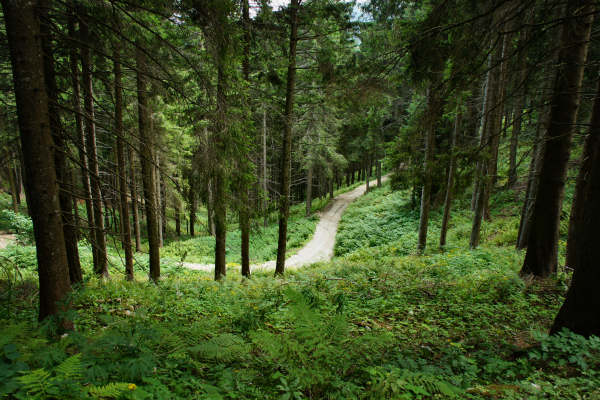 mtb Enego Valbrutta Marcesina Lisser