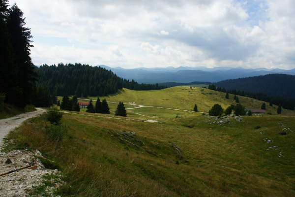 mtb Enego Valbrutta Marcesina Lisser