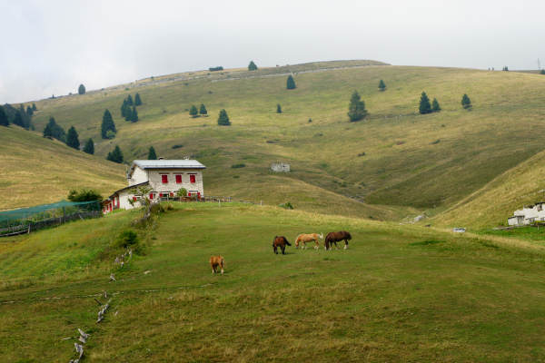 mtb Enego Valbrutta Marcesina Lisser