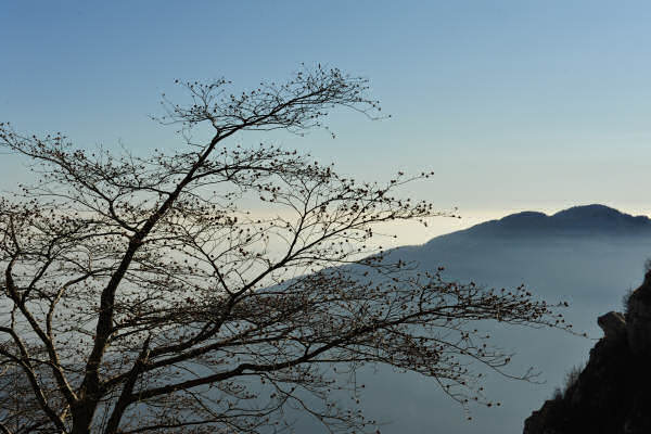 Monte Cengio - Altopiano Asiago
