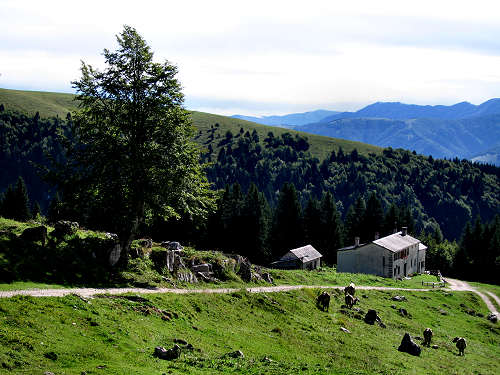 Badenecche - Foza - altopiano di Asiago 7 Comuni