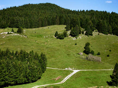 Badenecche - Foza - altopiano di Asiago 7 Comuni