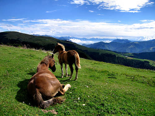 Badenecche - Foza - altopiano di Asiago 7 Comuni