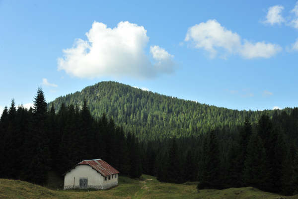 Gallio, Val Di Nos, Campomulo, Fiaretta, Fiara, BoscoSecco, Busette