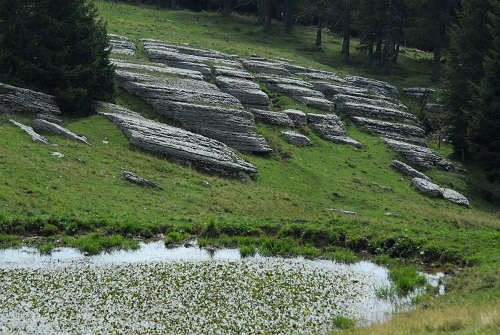 Gallio - Altopiano di Asiago