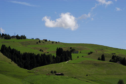 Gallio - Altopiano di Asiago