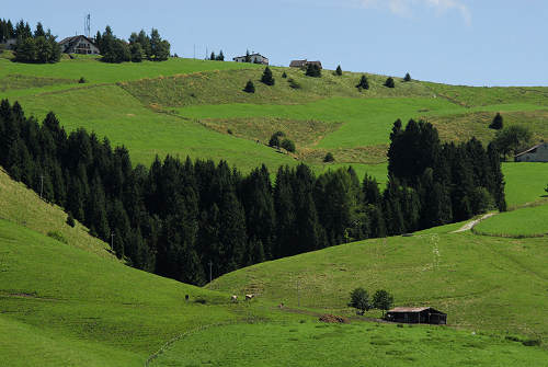 Gallio - Altopiano di Asiago