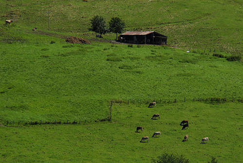 Gallio - Altopiano di Asiago