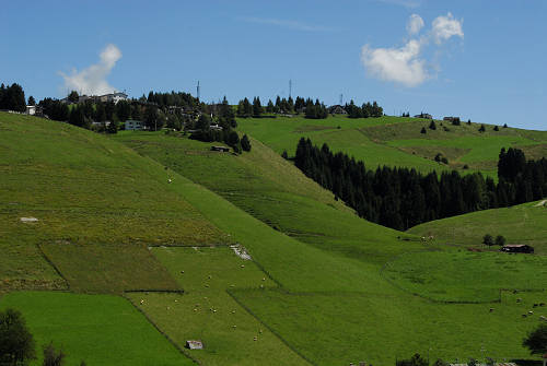 Gallio - Altopiano di Asiago