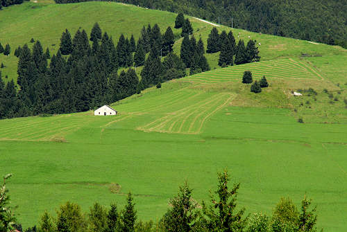Gallio - Altopiano di Asiago