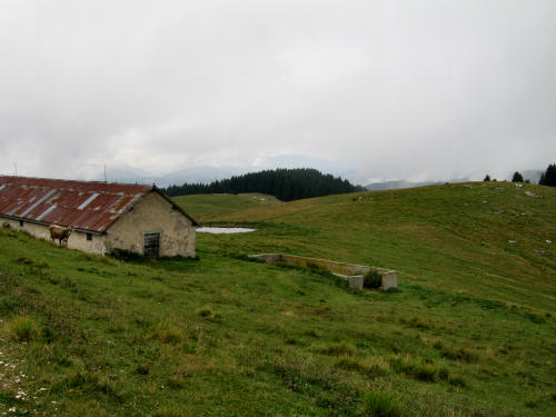 LOngara alle Melette di Gallio - Altopiano di Asiago
