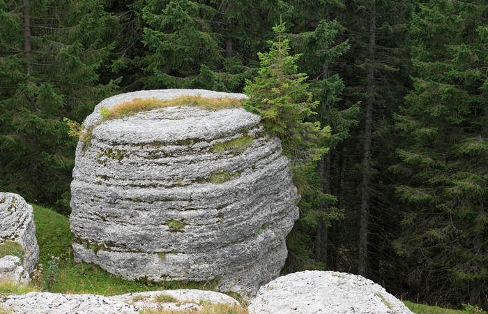 LOngara alle Melette di Gallio - Altopiano di Asiago