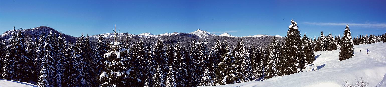 Campomulo, Bosco Secco, Gallio - fotografia panoramica