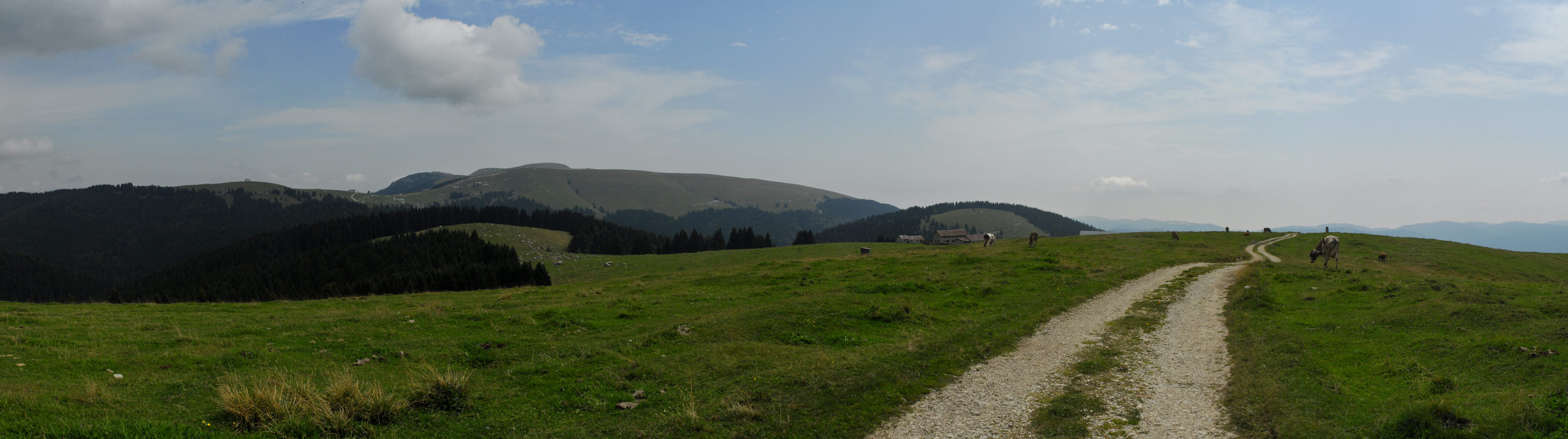 panoramica da malga Longara Davanti, Gallio, Altopiano Asiago Sette Comuni