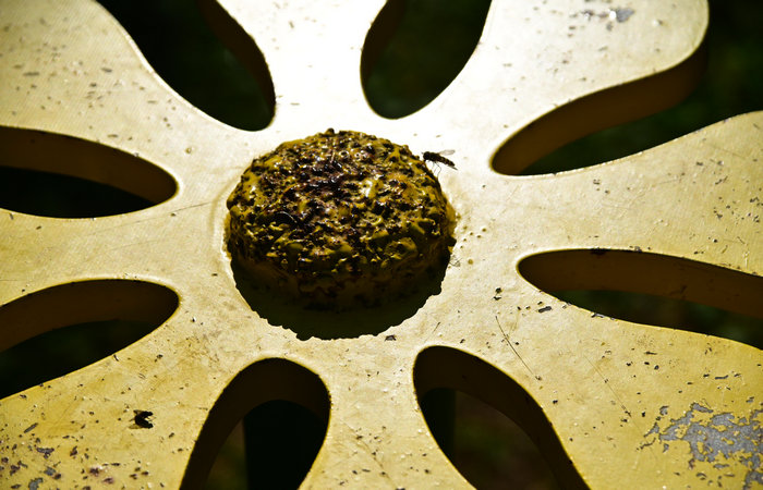 Sentiero del Silenzio, Porta della Memoria, Campomuletto di Gallio