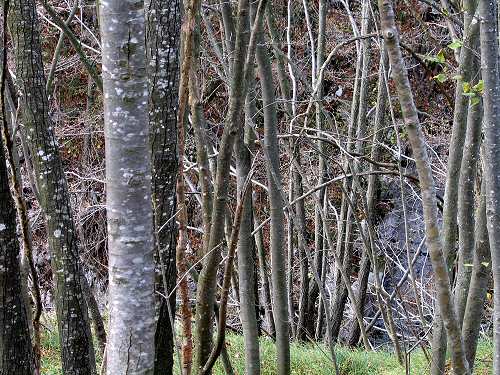 Stoccareddo di Gallio