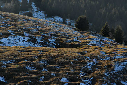 Stoccareddo di Gallio e i Tre Monti