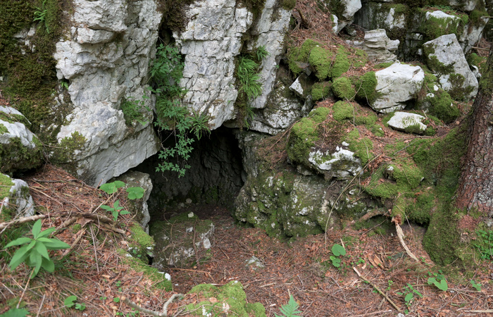 sentiero storico-naturalistico al monte Corno di Lusiana