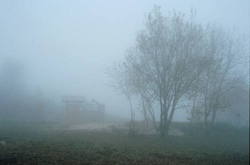 Monte Corgnon - Lusiana