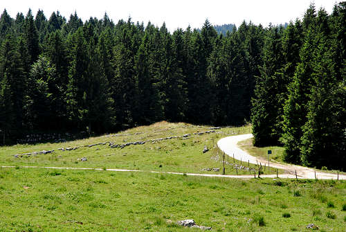 Monte Corno - Lusiana