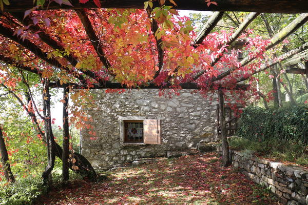 Parco del Sojo a Covolo di Lusiana, di Diego Morlin