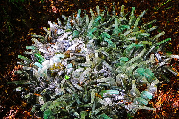 Parco del Sojo a Covolo di Lusiana, di Diego Morlin