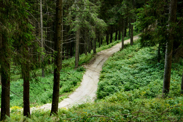 mtb Enego Valbrutta Marcesina Lisser