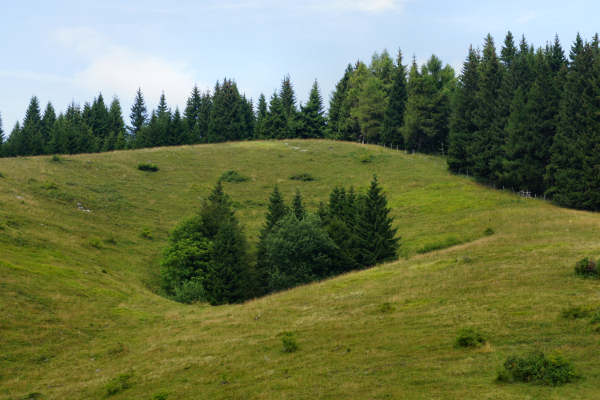 mtb Enego Valbrutta Marcesina Lisser