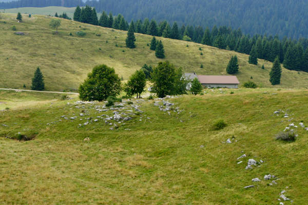 mtb Enego Valbrutta Marcesina Lisser