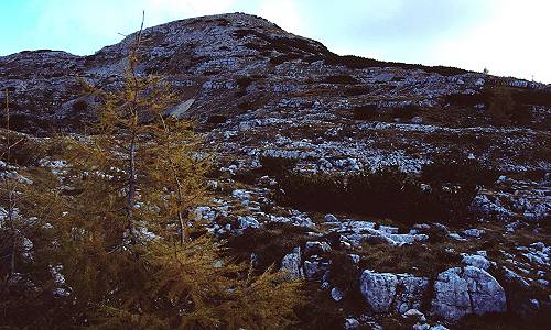 foto di cima della Caldiera - altopiano di Asiago 7 Comuni