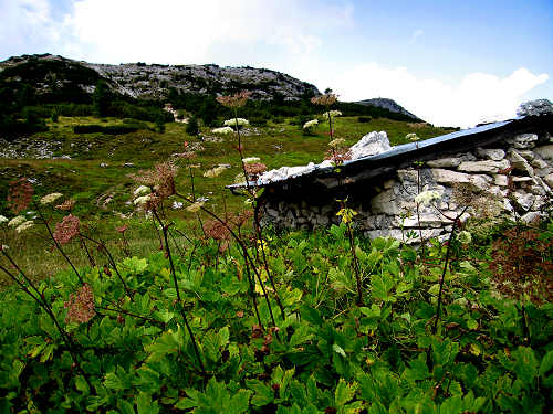 zona monumentale del monte Ortigara - altopiano di Asiago 7 Comuni