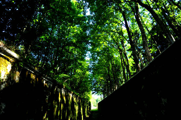 ex Forte Punta Corbin a Tresche-Conca - Asiago, Roana, Valdastico