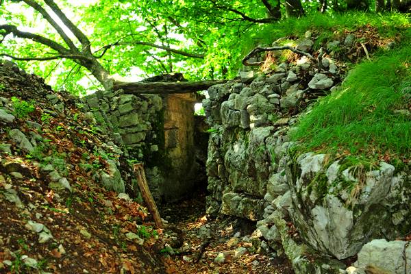 Sentiero storico-ambientale dal cimitero dei Crosati al monte Cimone di Tonezza