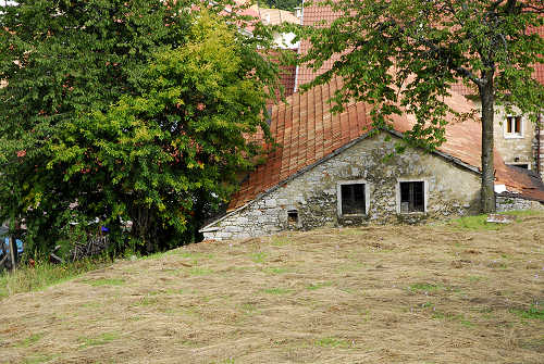 Sentiero fogazzariano a Tonezza del Cimone