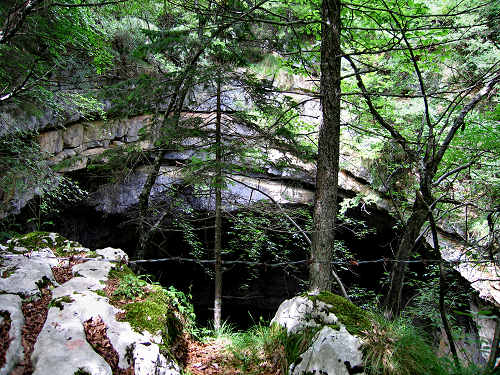 Voragine Tanzerloch a Camporovere di Roana - Val d'Assa