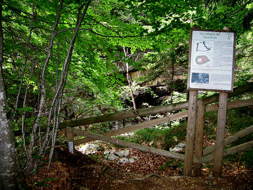 Voragine Tanzerloch a Camporovere di Roana - Val d'Assa