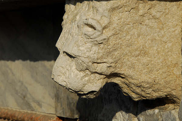 Leone di San Marco, Leone di Venezia