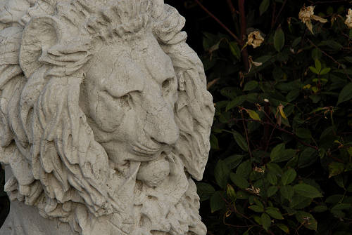 Leone di San Marco a Venezia